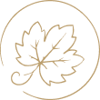 feuille de vigne icone